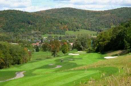 About Ellicottville Village